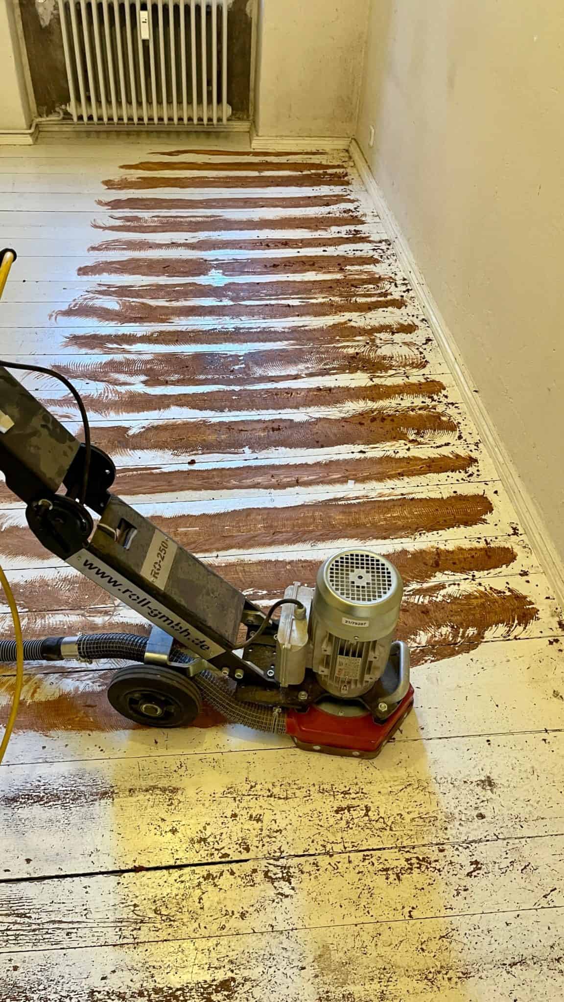 ochsenblut-wissenswertes-zu-verwendung-und-sanierung