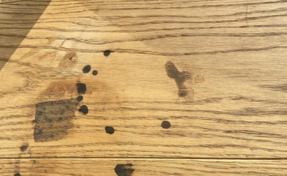 Gerbsäureflecken auf dem Parkett, Gerbsäure Flecken sind unschön auf dem Parkettboden