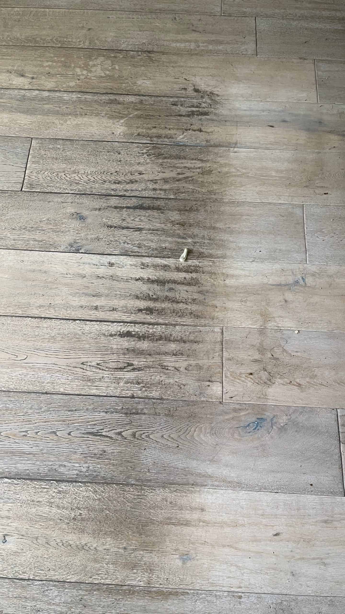 Fertigparkett renovieren in Berlin